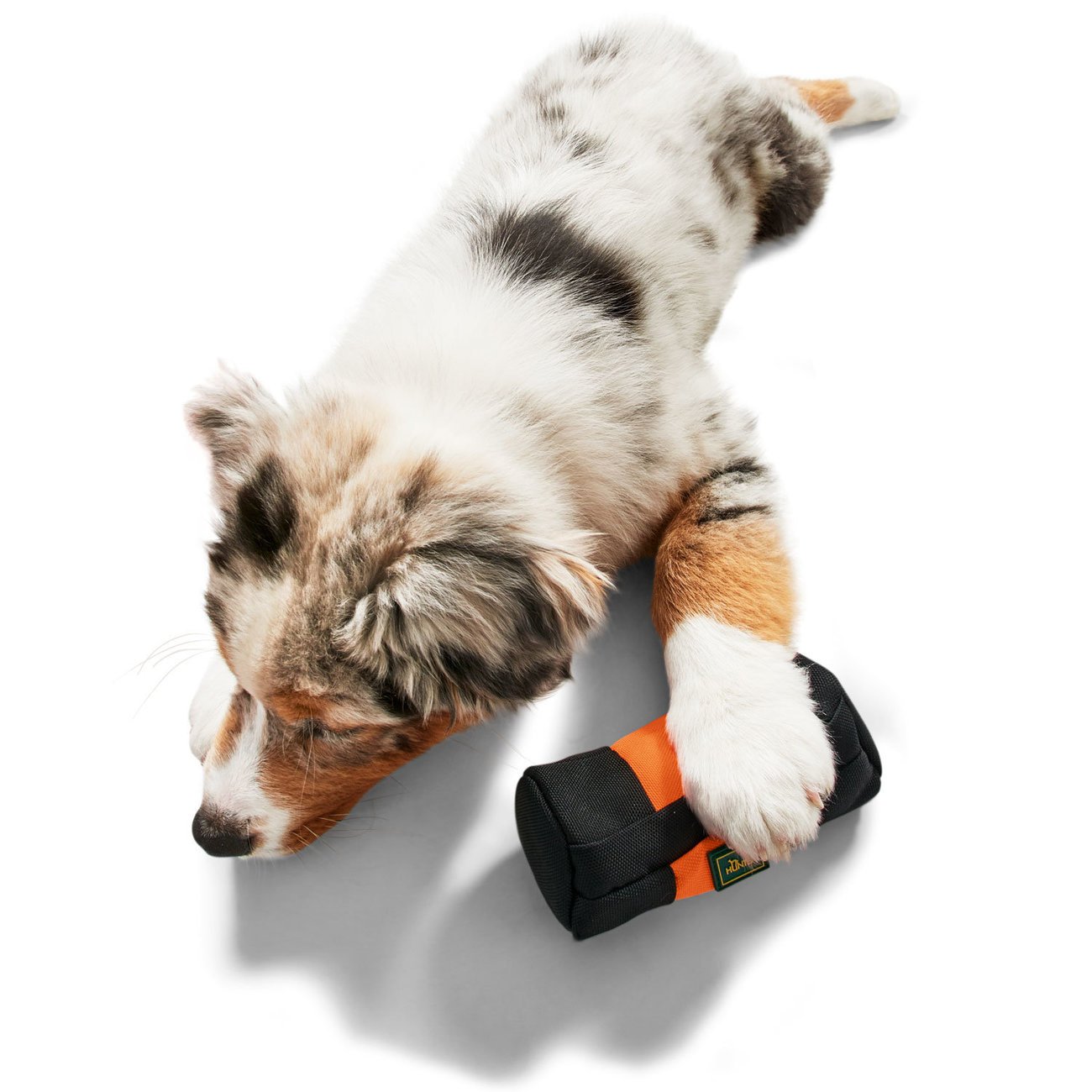 Futterbeutel Trainer Dummy Bild 8