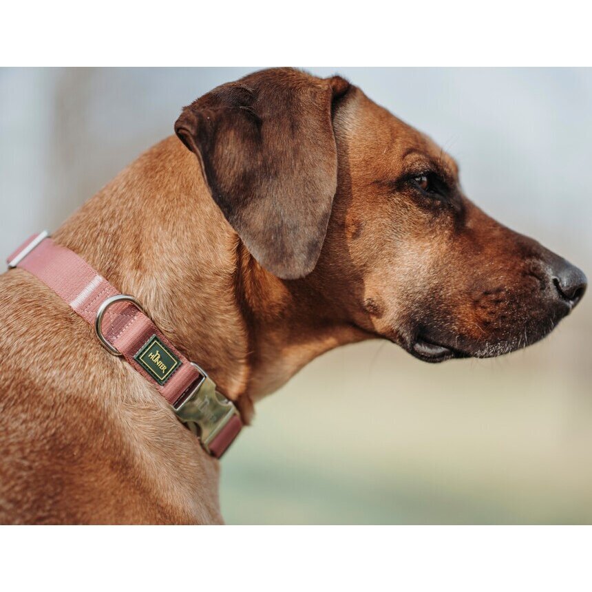 Hunde Halsung Inari Alu-Strong Bild 2