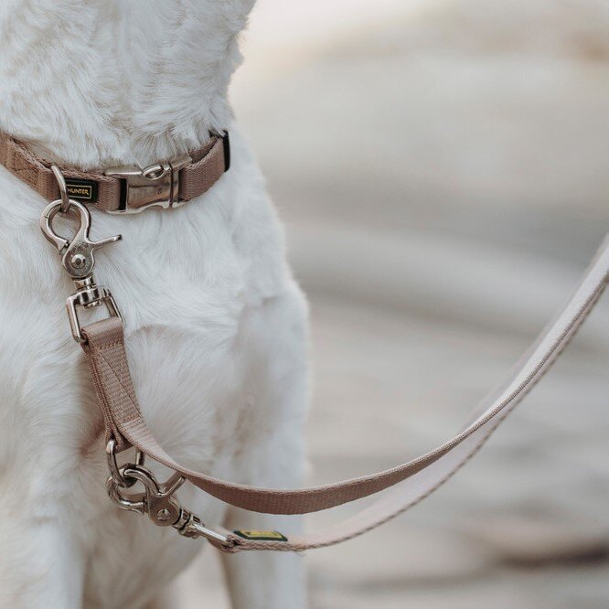 Hunde Halsung Inari Alu-Strong Bild 14