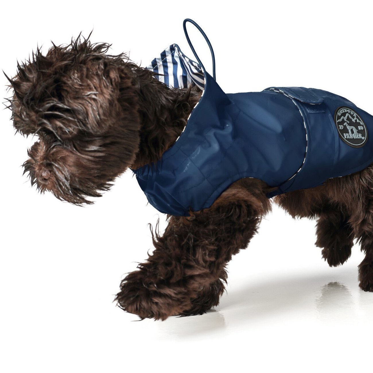 Hunde Regenmantel Milford Bild 17