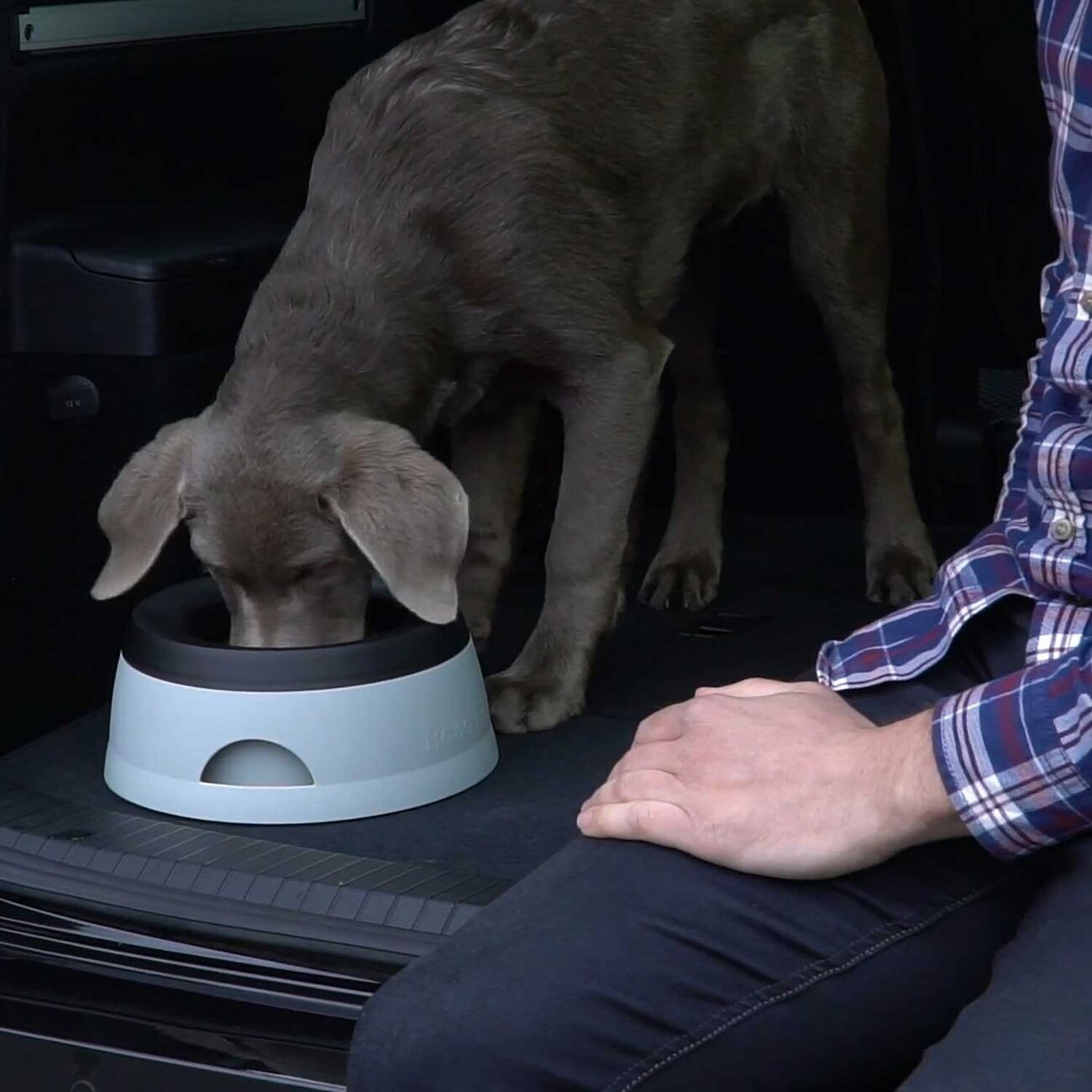Hunde Reisenapf Road Refresher Bild 3