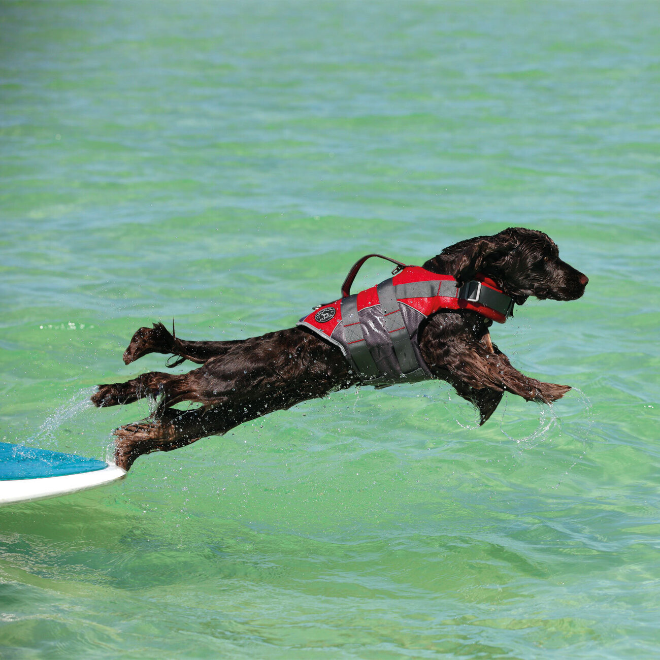 Hunter Hunde Schwimmweste Moss Bild 5