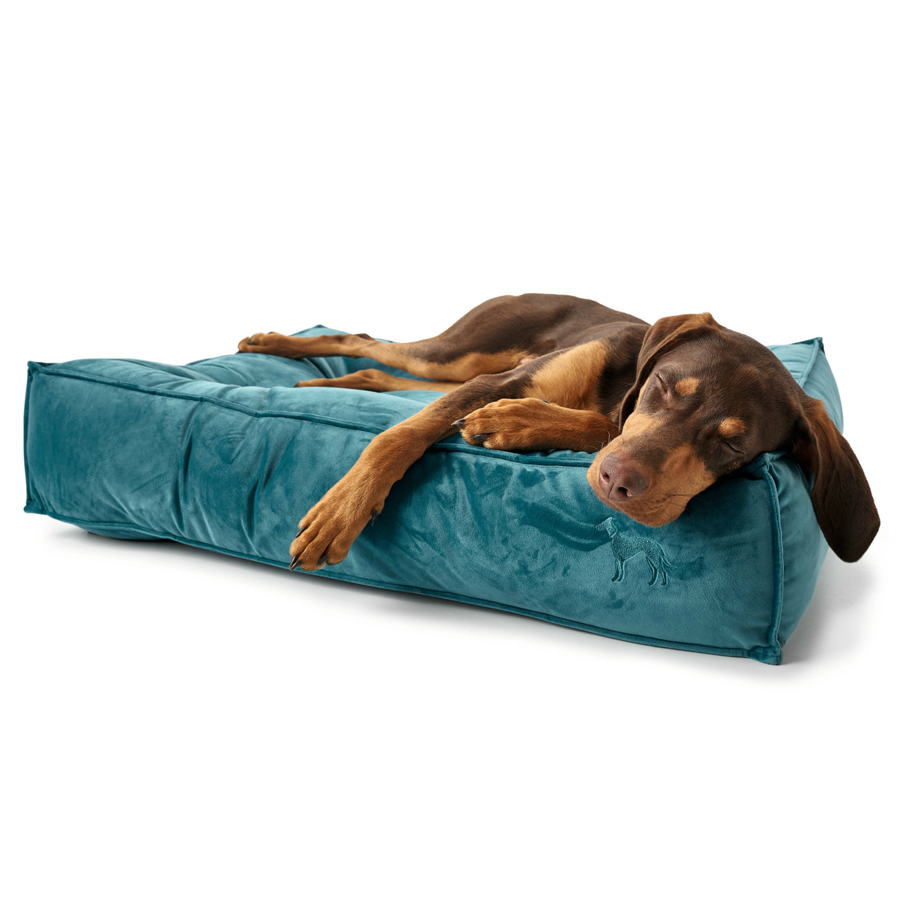 Hunter Hundebett Bristol Bild 7