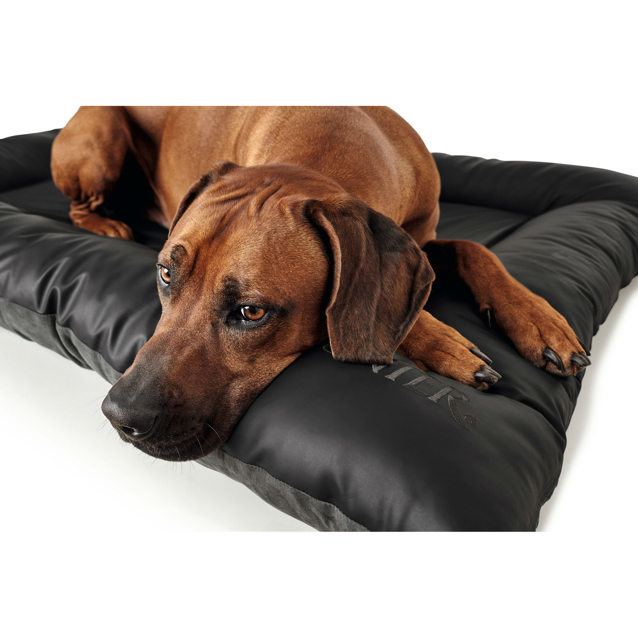 Dogsfavorite Hundebett 100x75cm - Kunstleder Hundekissen Pflegeleicht