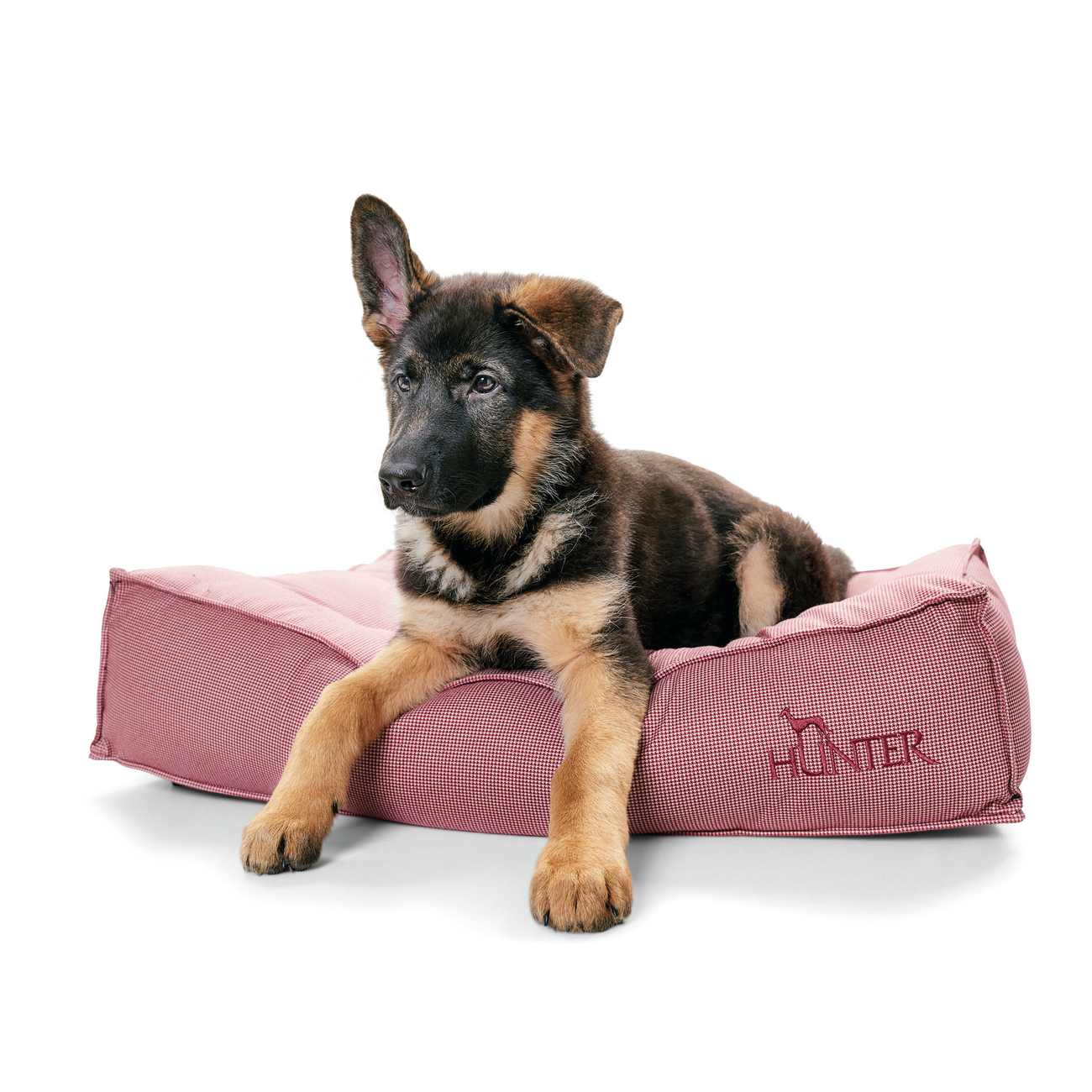 Hunter Hundebett Lancaster Bild 11