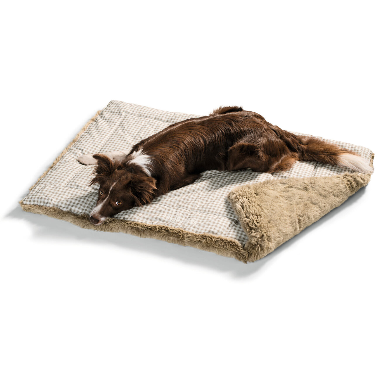 Hunter Hundedecke Astana Bild 4