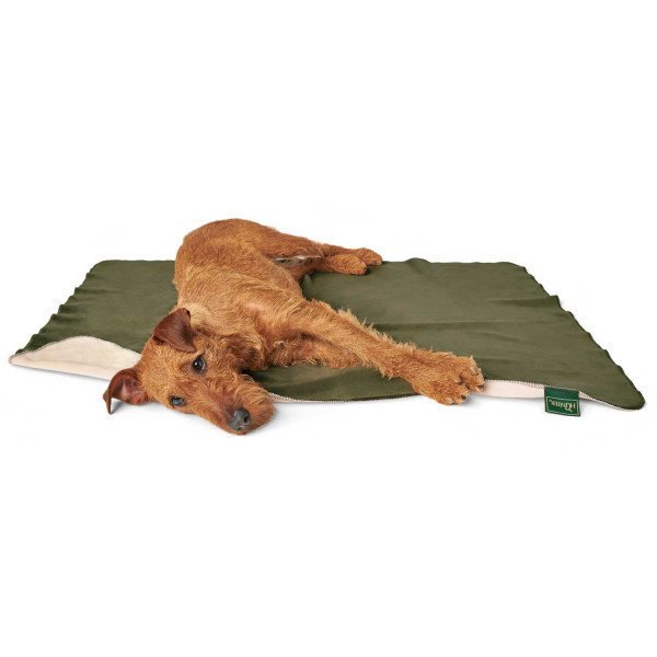 Hunter Hundedecke Hörnum Bild 2