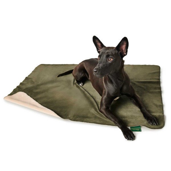 Hunter Hundedecke Hörnum Bild 5