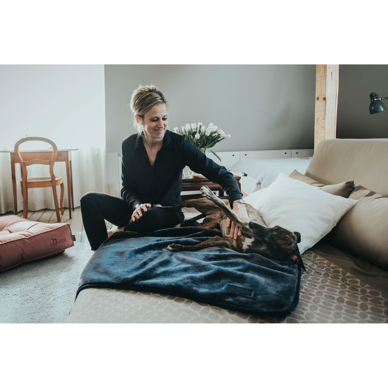 Hunter Hundedecke Konstanz Bild 7