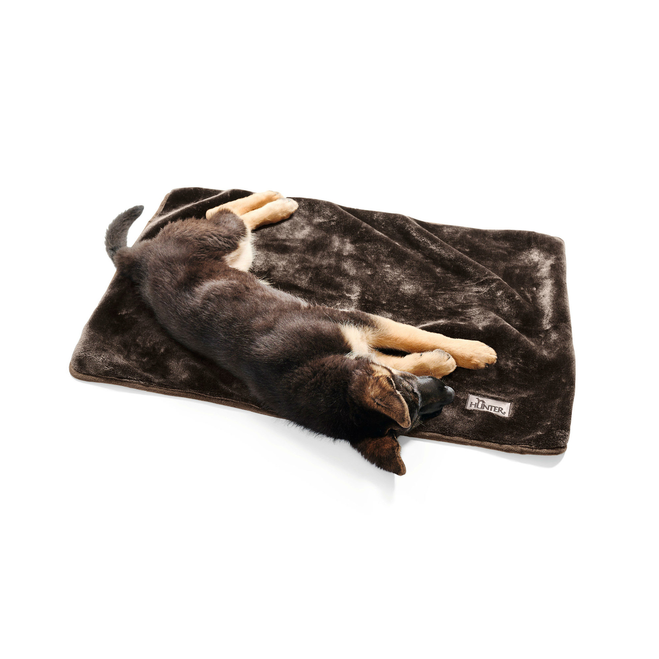 Hunter Hundedecke Konstanz Bild 5