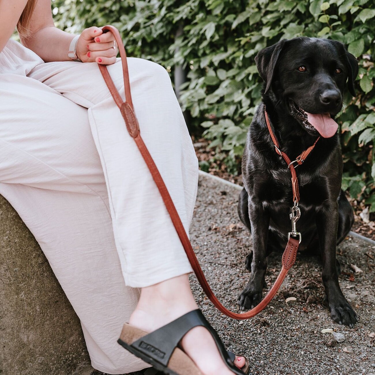 Hundeführleine Round & Soft Canadian Up Bild 2