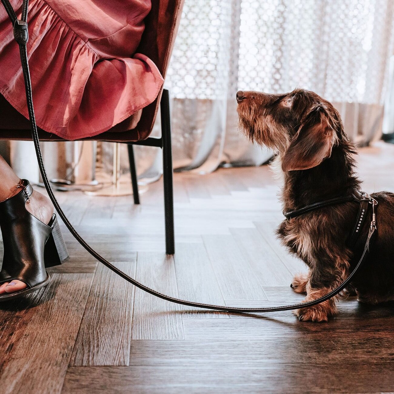 Hundeführleine Round & Soft Canadian Up Bild 8