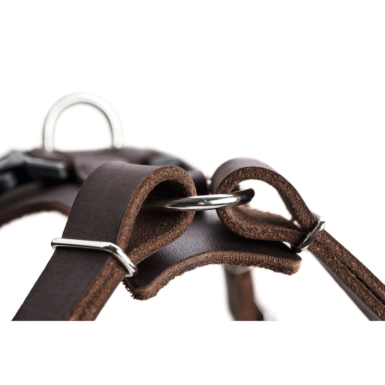 Hunter Hundegeschirr Aalborg Leder Bild 15