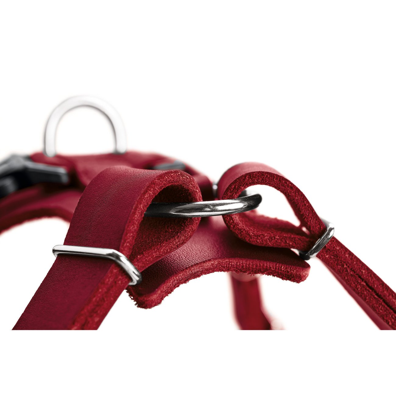 Hunter Hundegeschirr Aalborg Leder Bild 24