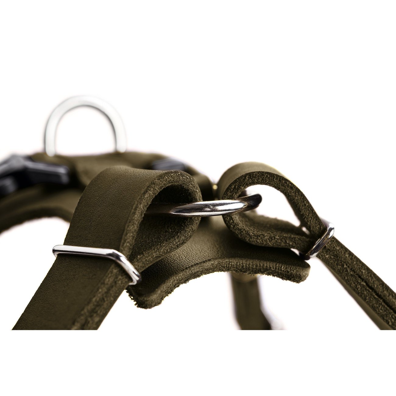 Hunter Hundegeschirr Aalborg Leder Bild 28