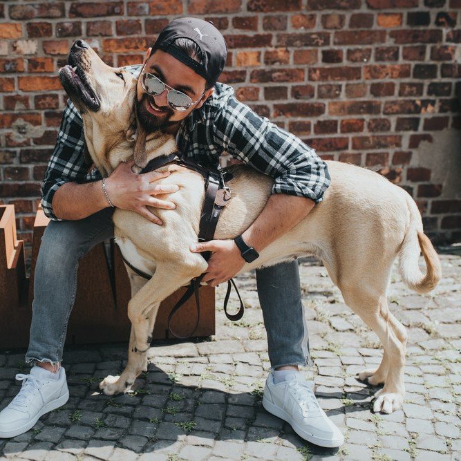 Hunter Hundegeschirr Aalborg Leder Bild 29