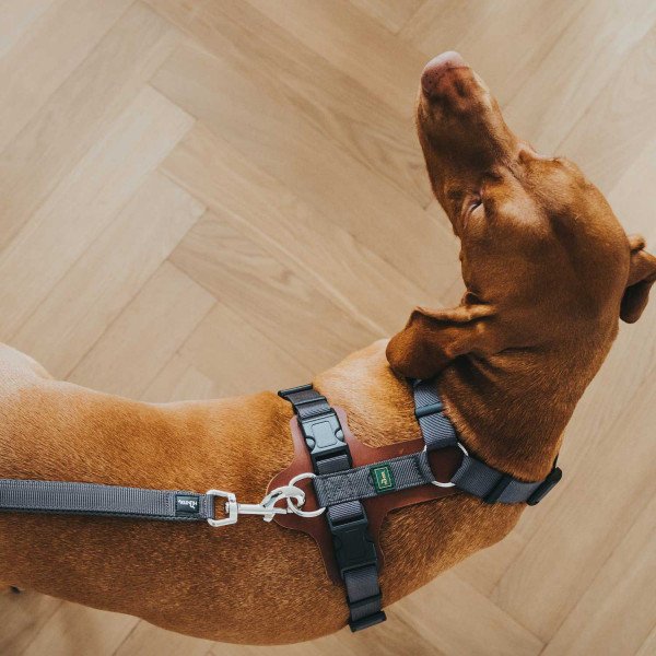 Hunter Hundegeschirr Aalborg Mixed Bild 3