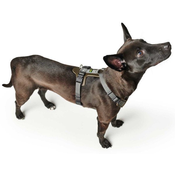 Hunter Hundegeschirr Aalborg Mixed Bild 28