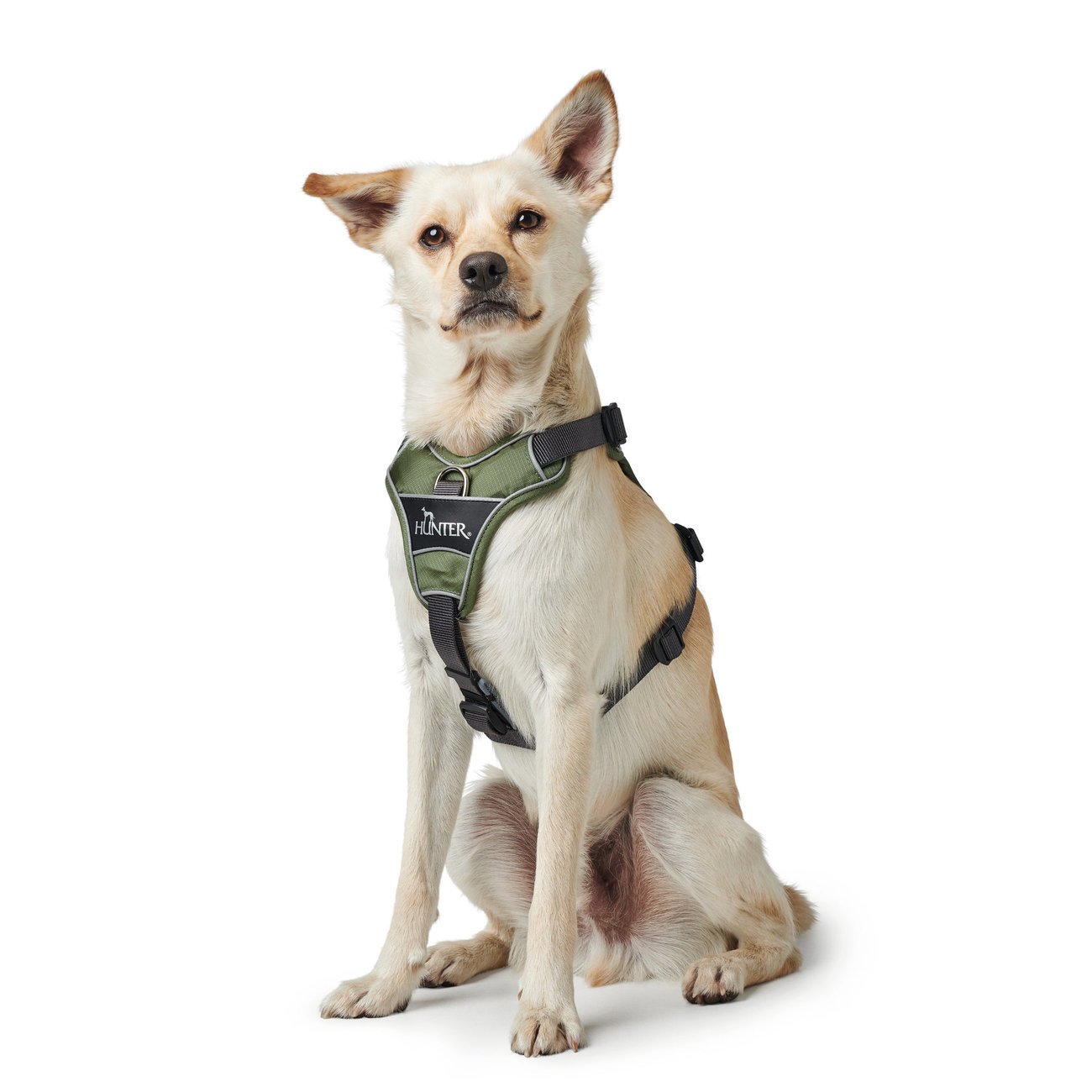 Hunter Hundegeschirr Divo Bild 4