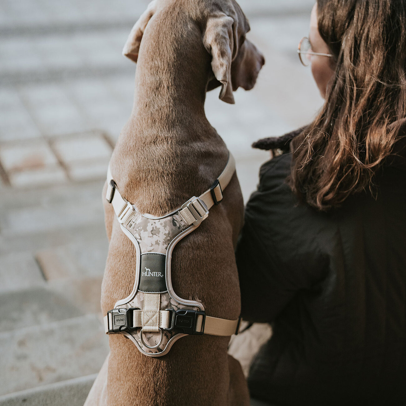 Hundegeschirr Divo Camouflage Bild 4