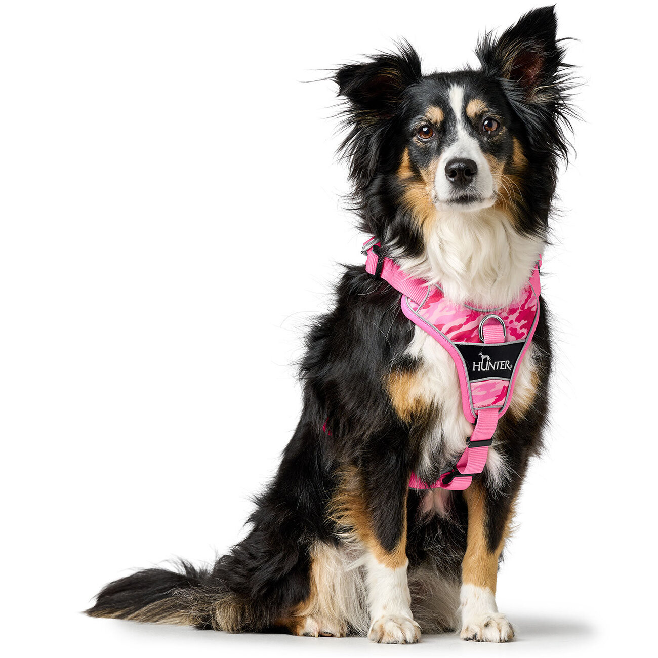 Hundegeschirr Divo Camouflage Bild 2