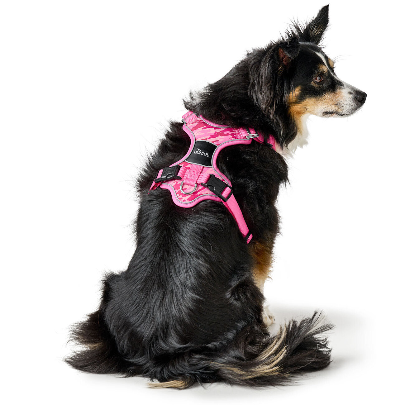 Hundegeschirr Divo Camouflage Bild 14