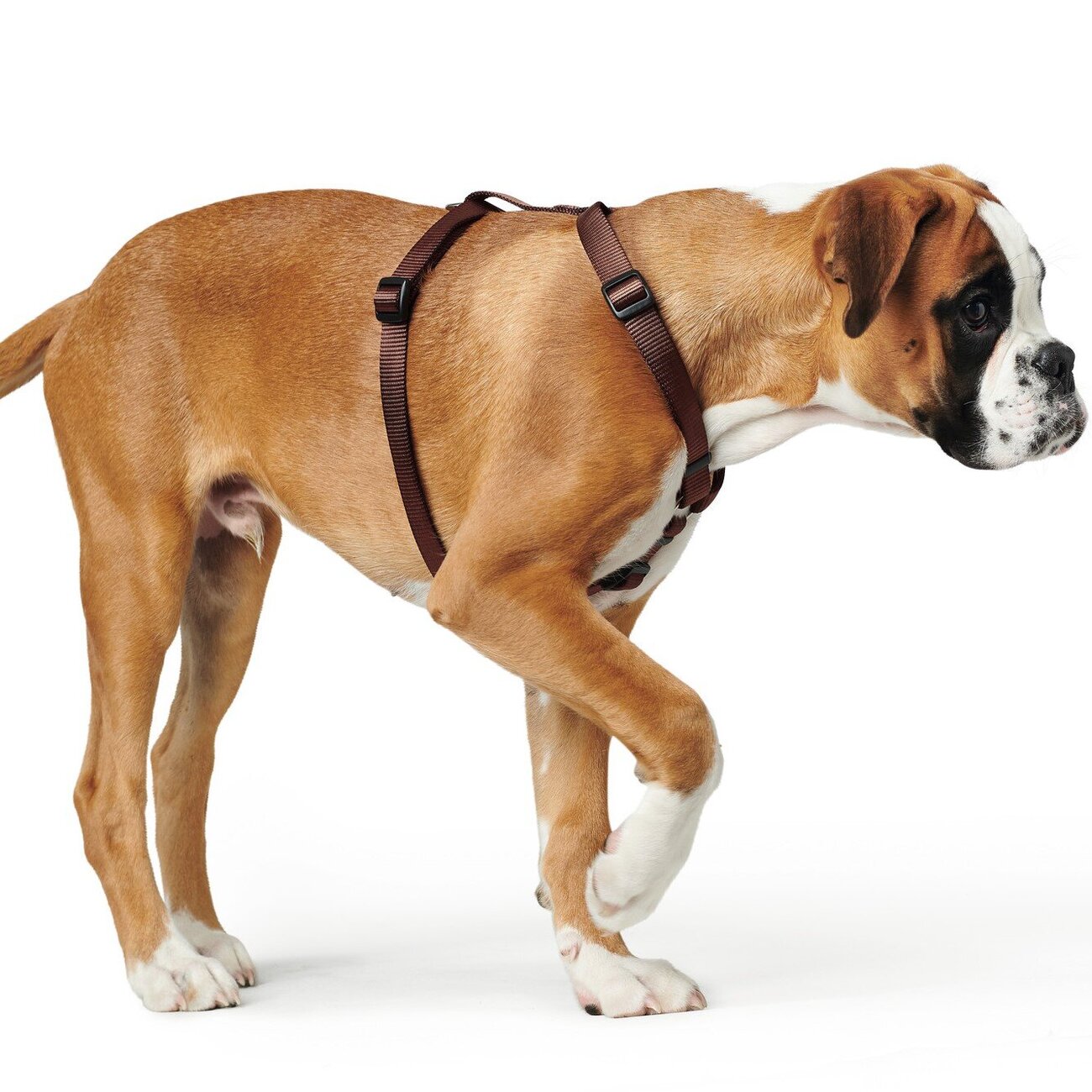 Hunter Hundegeschirr Ecco Sport Vario Rapid Nylon Bild 11