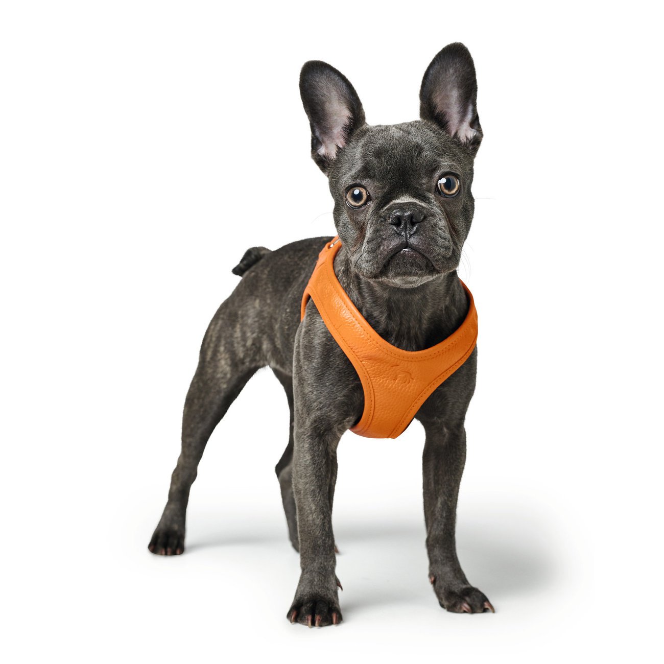 Hunter Hundegeschirr Hilo Bild 2