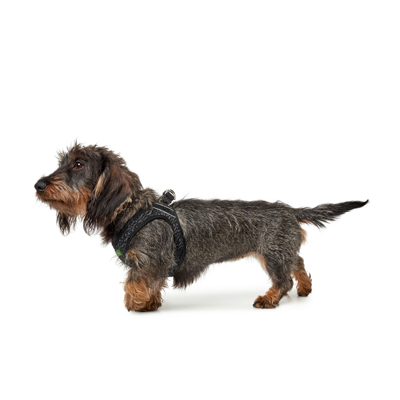 Hunter Hundegeschirr Hilo Soft Comfort Bild 9