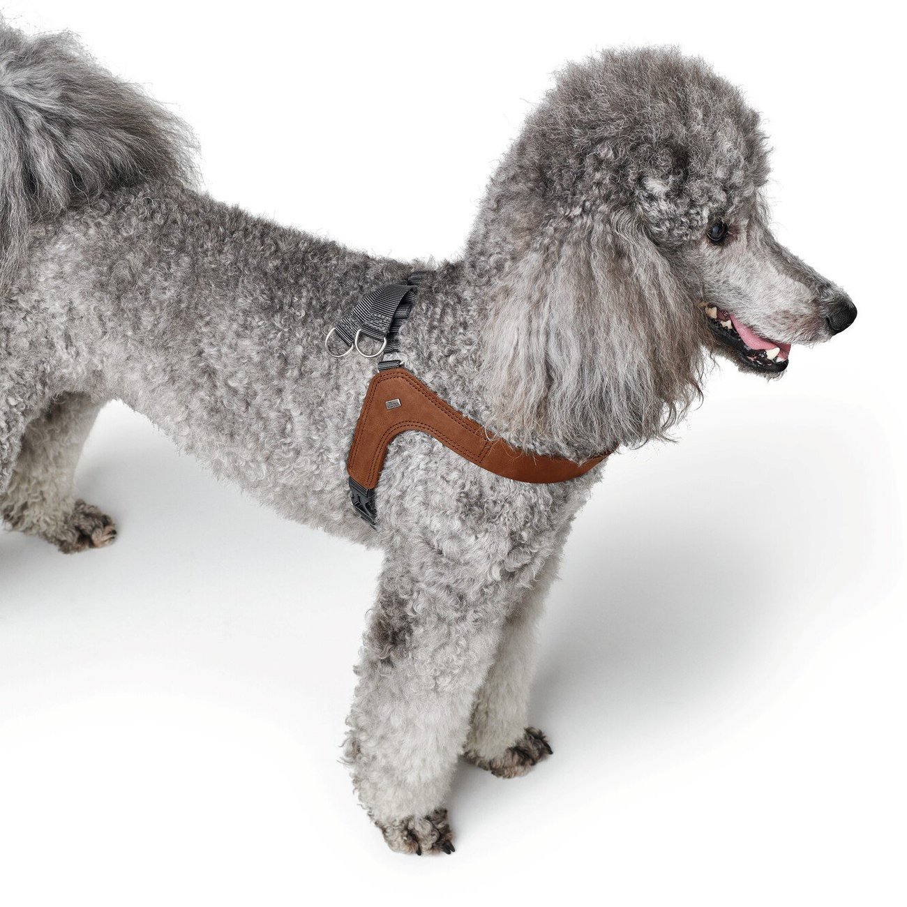 Hundegeschirr Leder Dimaro Bild 4