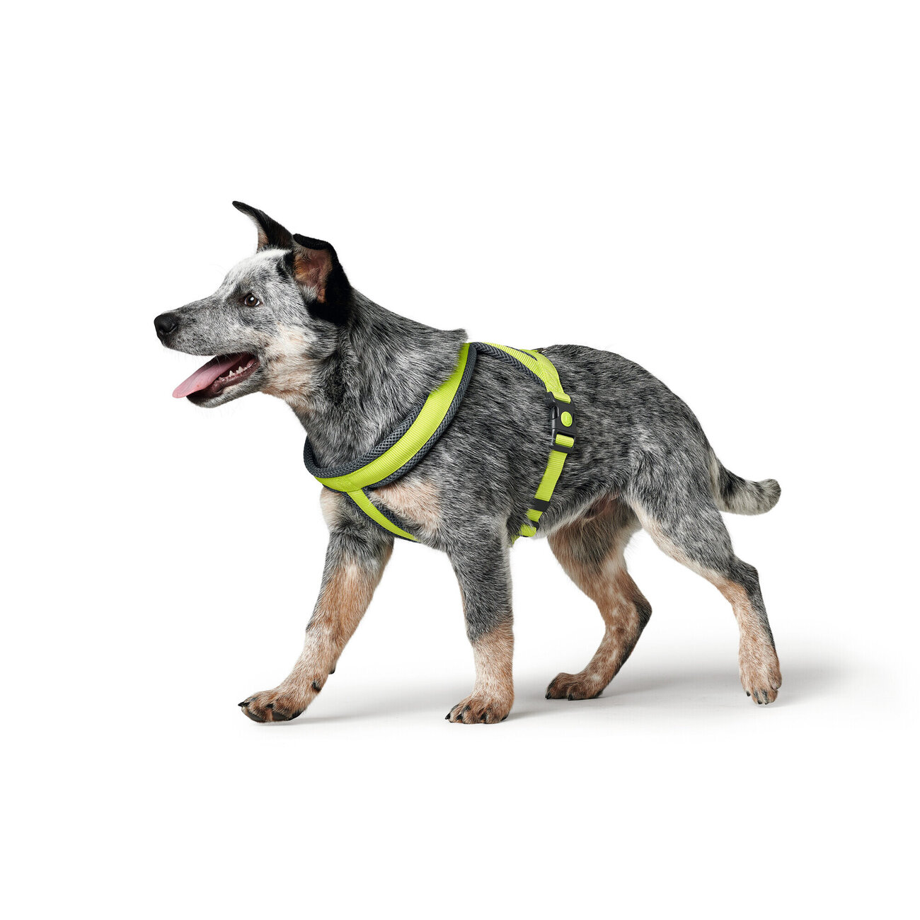 Hunter Hundegeschirr London Comfort Bild 2