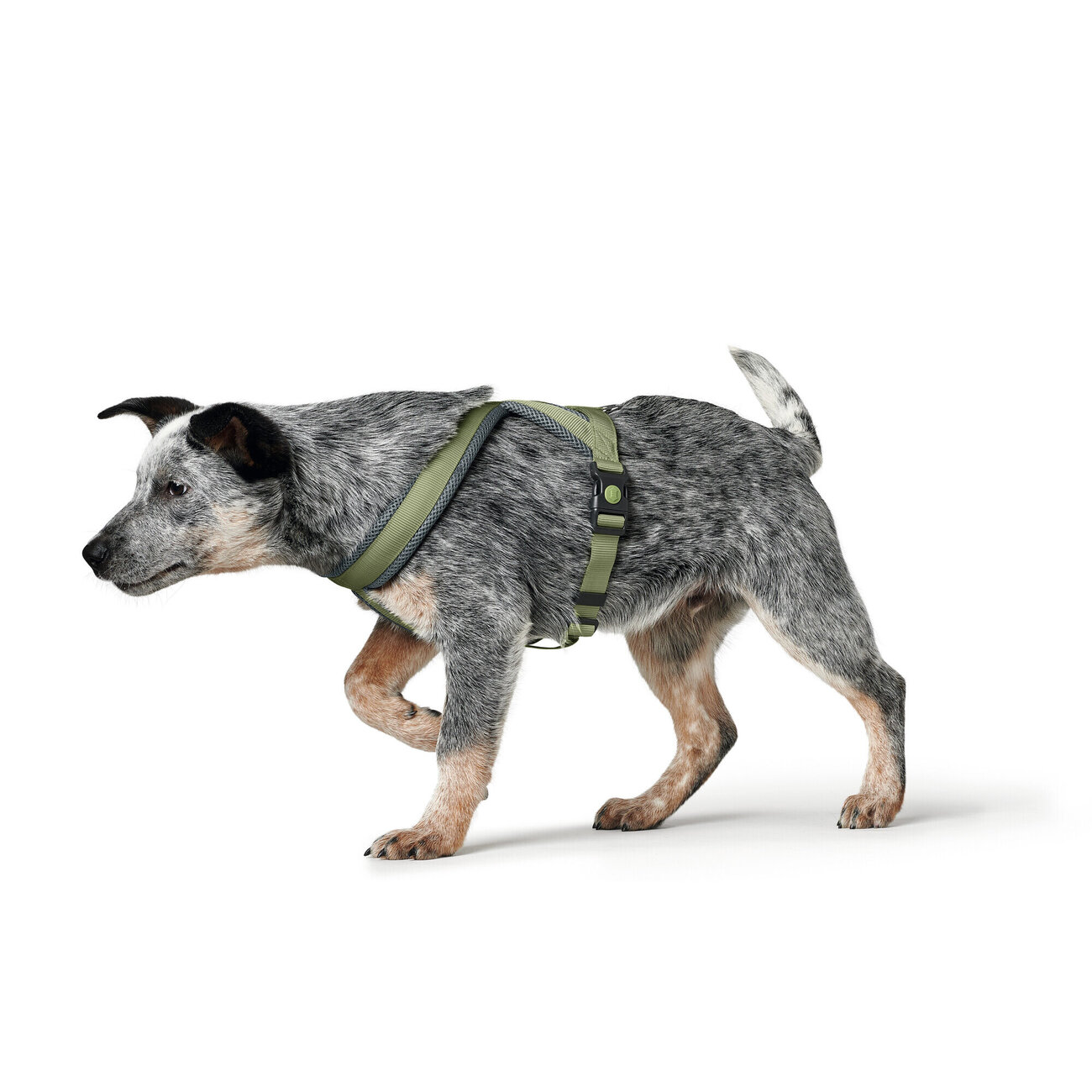 Hunter Hundegeschirr London Comfort Bild 29