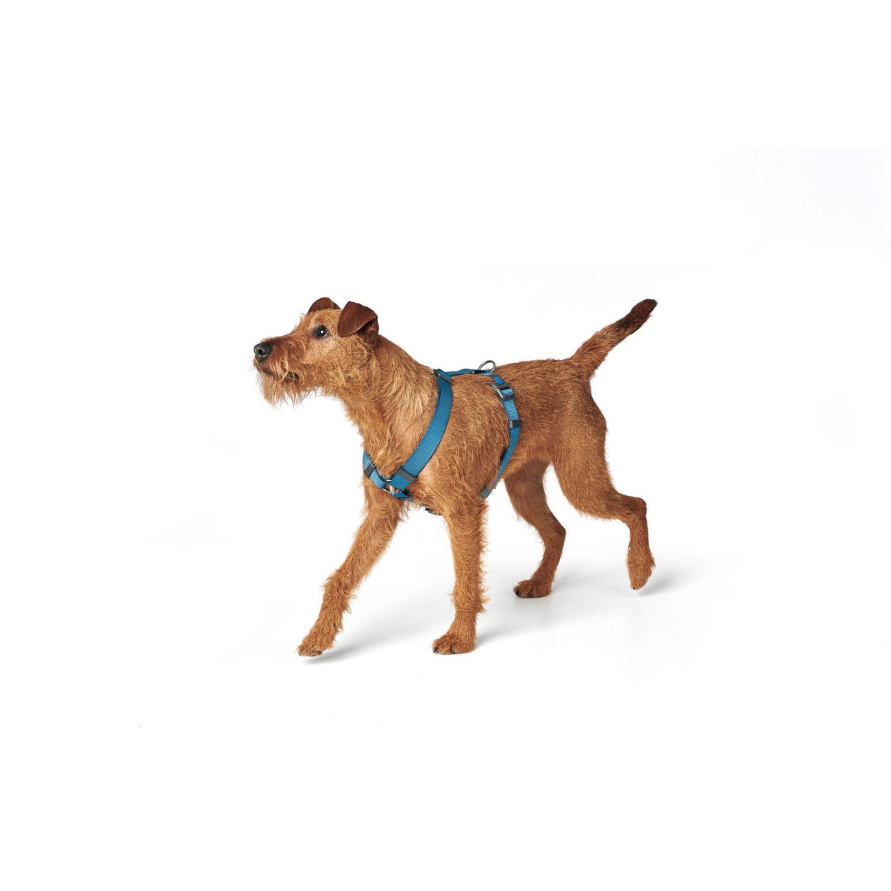 Hunter Hundegeschirr London Vario Rapid Bild 28