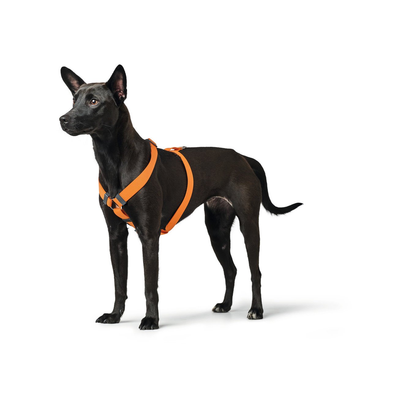 Hunter Hundegeschirr London Vario Rapid Bild 3