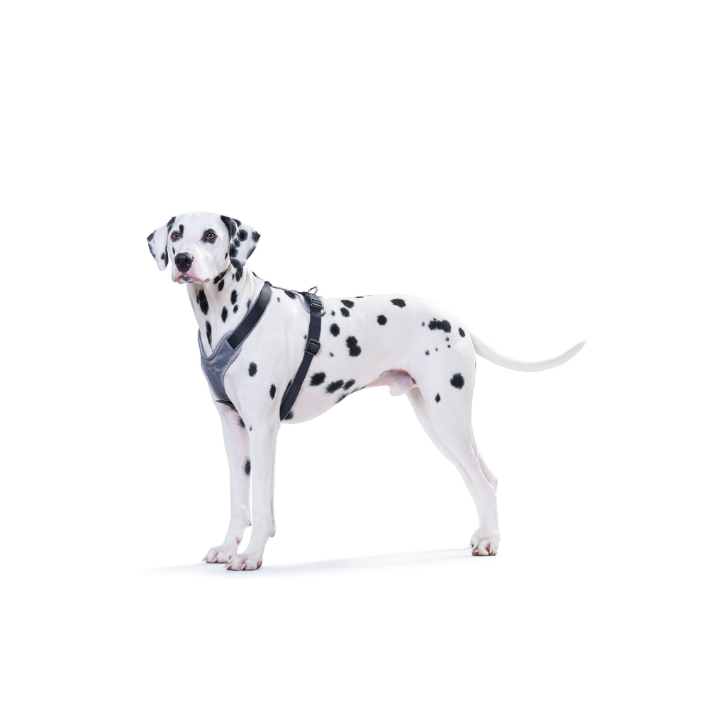 Hunter Hundegeschirr Neopren Bild 8