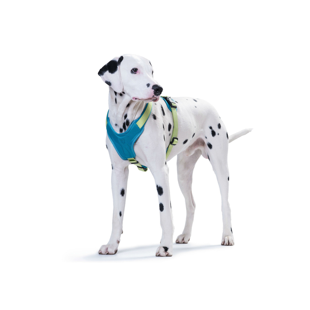 Hunter Hundegeschirr Neopren Bild 9