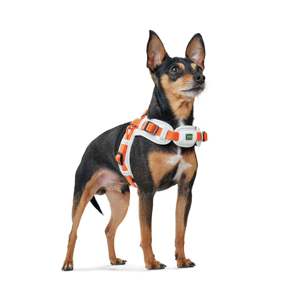 Hunter Hundegeschirr Neopren Vario Quick Bild 13