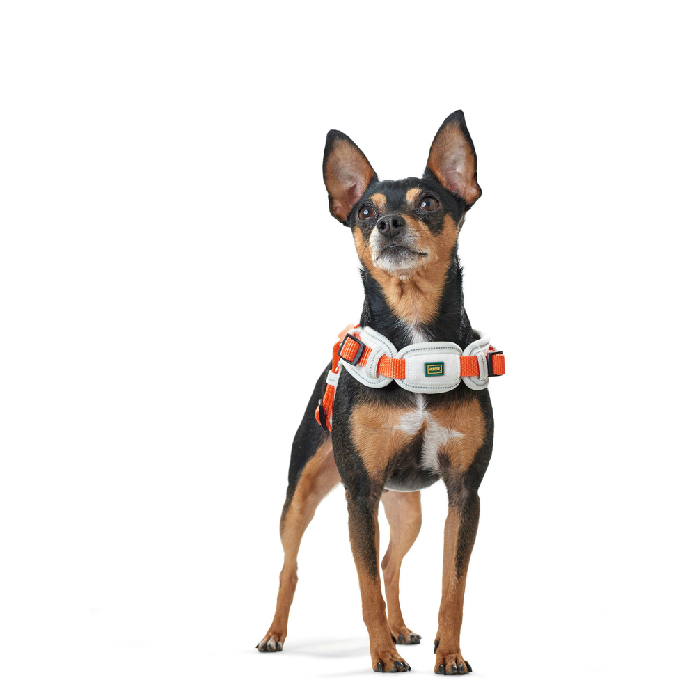 Hunter Hundegeschirr Neopren Vario Quick Bild 14
