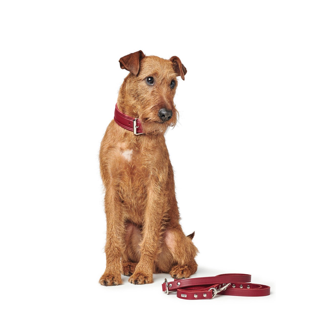 Hunter Hundehalsband Aalborg Rustica Bild 39