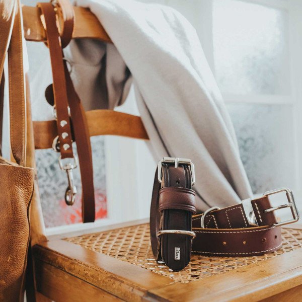 Hunter Hundehalsband Aalborg Rustica Bild 4