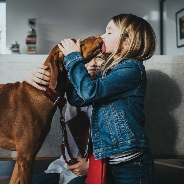 Hunter Hundehalsband Aalborg Rustica Bild 32