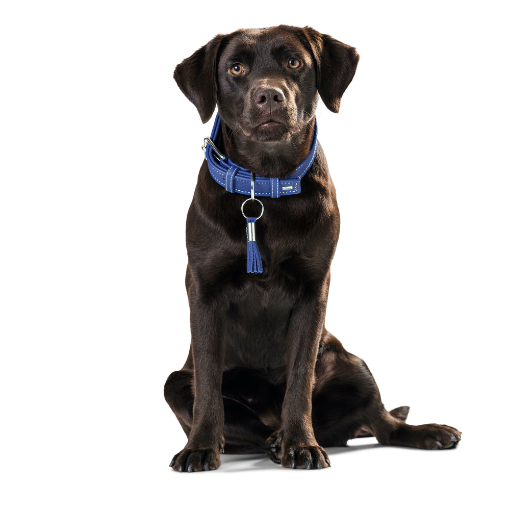 HUNTER Hundehalsband Cannes Bild 19