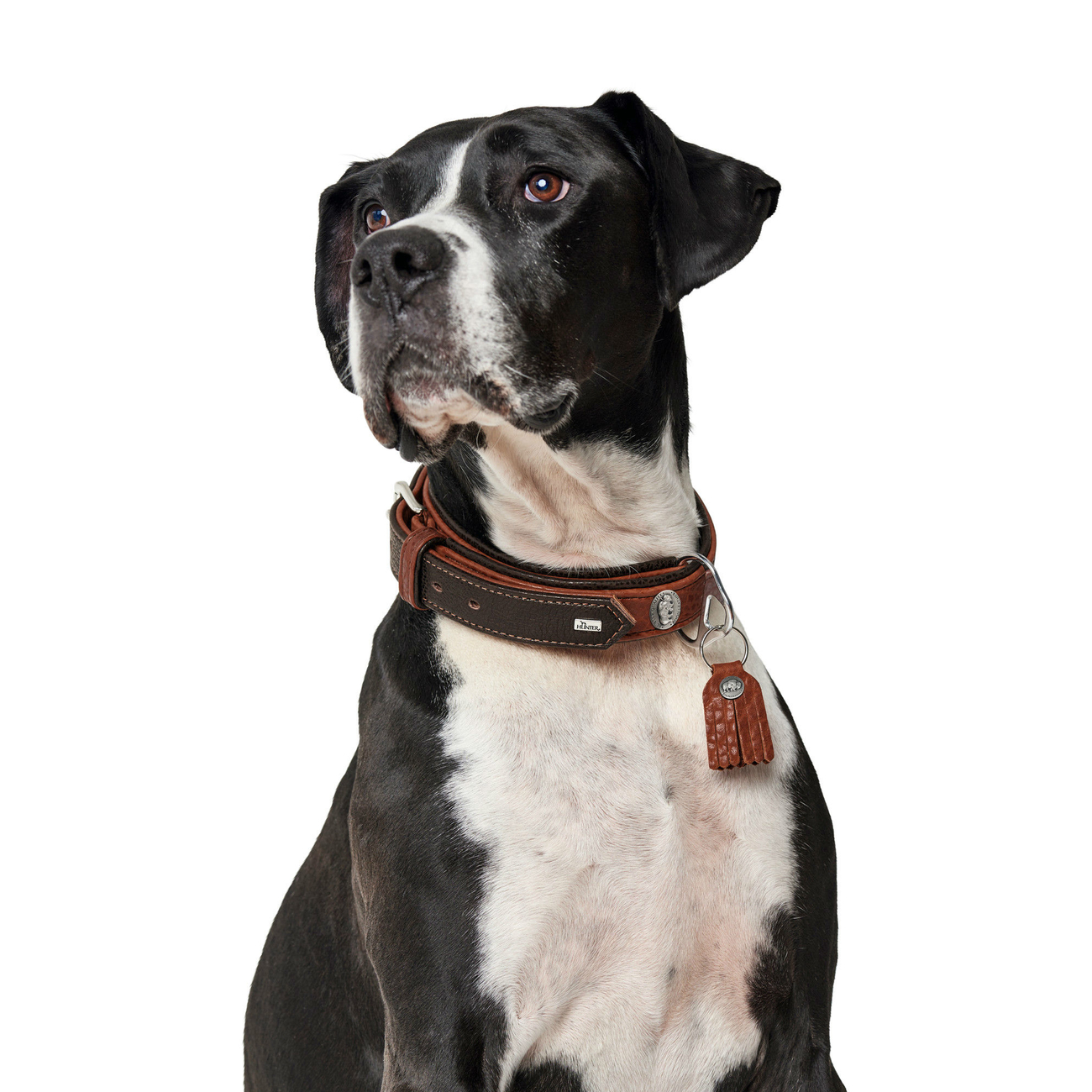 Hunter Hundehalsband Cody Special Bild 10