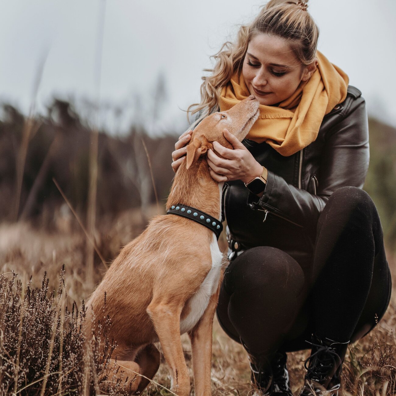 Hundehalsband Modica aus Leder Bild 9