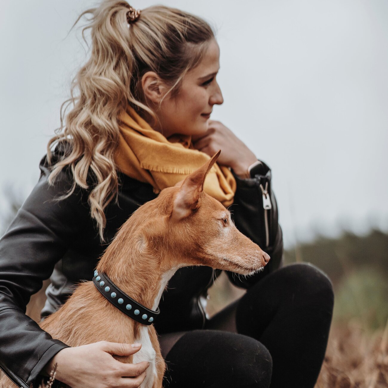 Hundehalsband Modica aus Leder Bild 2