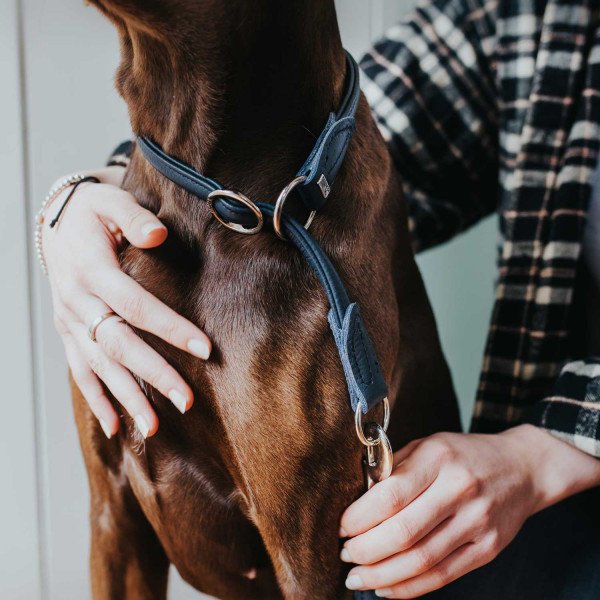 Hunter Hundehalsband Round & Soft Leder Bild 2