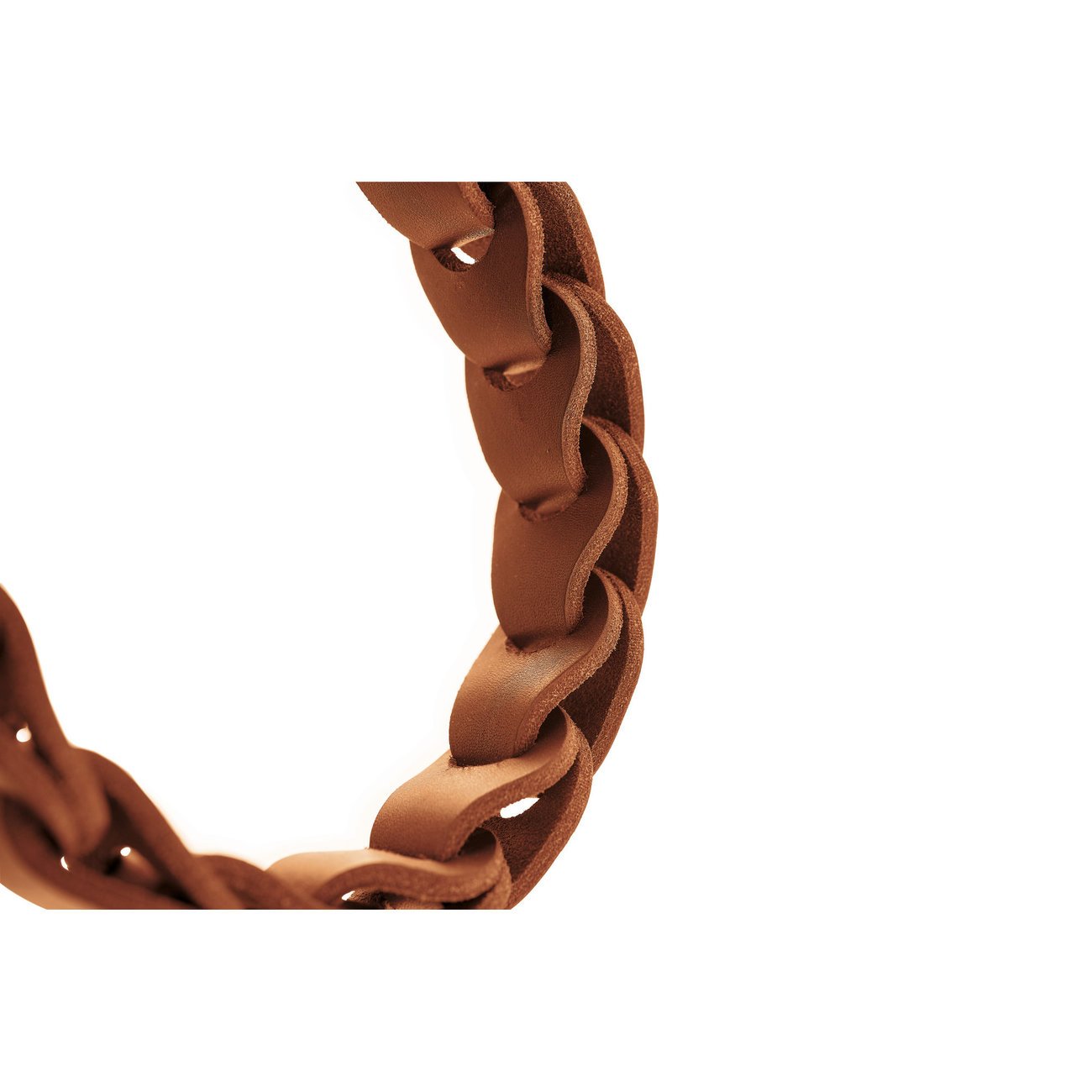 Hundehalsband Solid Education Chain Bild 3