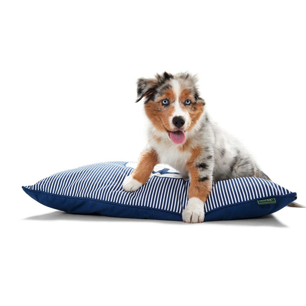 Hunter Hundekissen Midlum Bild 3