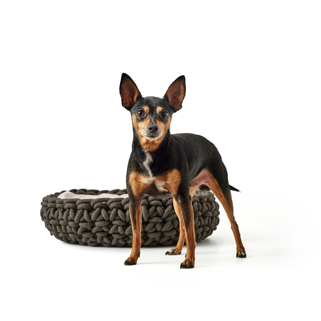 Hunter Hundekorb geflochten Linz Bild 11