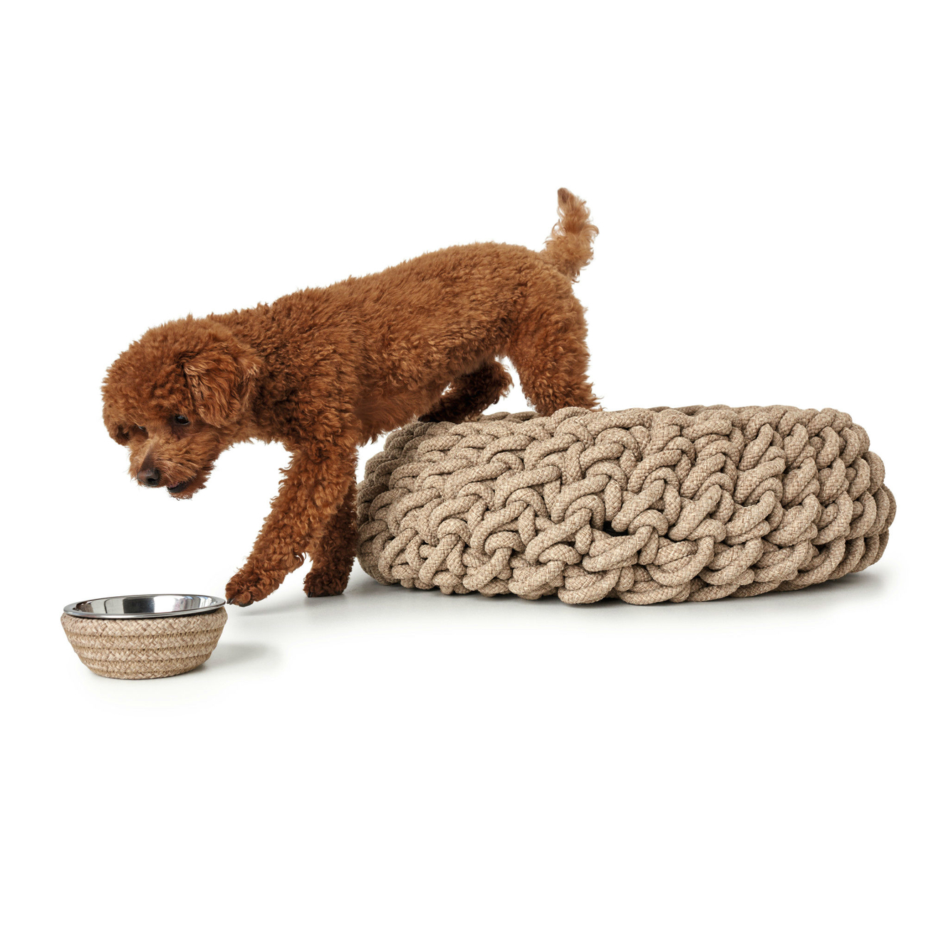 Hunter Hundekorb geflochten Linz Bild 15